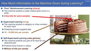 Y. LeCun
How Much Information is the Machine Given during Learning?
“Pure” Reinforcement Learning (cherry)
The machine predicts a scalar reward given once in a
while.
A few bits for some samples
Supervised Learning (icing)
The machine predicts a category or a few numbers
for each input
Predicting human-supplied data
10→10,000 bits per sample
Self-Supervised Learning (cake génoise)
The machine predicts any part of its input for any
observed part.
Predicts future frames in videos
Millions of bits per sample
 
