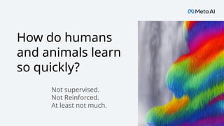How do humans
and animals learn
so quickly?
Not supervised.
Not Reinforced.
At least not much.
 