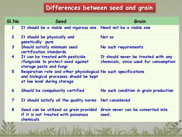 Seed And Seed Technology