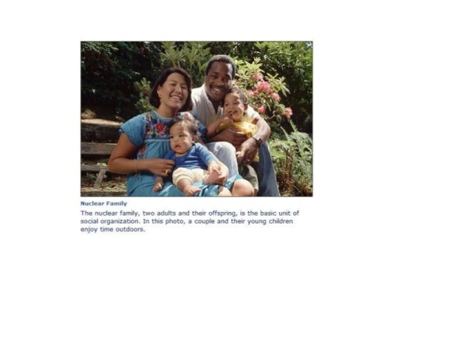 family as a social institution pdf