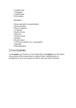6 Anthérozoïde
      7 Archégone
      a Anthérozoïde
      b O(v)osphère

      Sporophyte:

      8 Jeune sporophyte sur gamétophyte
      a Racine primaire
      9 Pousse végétative
      a Verticilles
      b Ecaille foliaire
      c Rhizome
      10 Pousse fertile
      a Strobile
      b Ecaille folaire
      11 Portion de strobile avec 3 sporophylles
      a Sporange
      b Sporangiophore

2.3 Les lycopodes
Les lycopodes, qui forment avec les sélaginelles les lycophytes sont des plantes
d'assez petite taille croissant dans les régions froides, septentrionales ou
montagneuses, sur le sol ou parmi les rochers, dans des milieux humides.
 