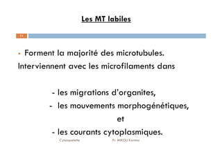 11
Les MT labiles
Forment la majorité des microtubules.
Interviennent avec les microfilaments dans
Cytosquelette Pr. MIKOU Karima
- les migrations d’organites,
- les mouvements morphogénétiques,
et
- les courants cytoplasmiques.
 