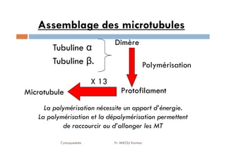 14
Tubuline α
Tubuline β.
Dimère
Polymérisation
X 13
Assemblage des microtubules
Cytosquelette Pr. MIKOU Karima
Protofilament
Microtubule
X 13
La polymérisation nécessite un apport d’énergie.
La polymérisation et la dépolymérisation permettent
de raccourcir ou d’allonger les MT
 
