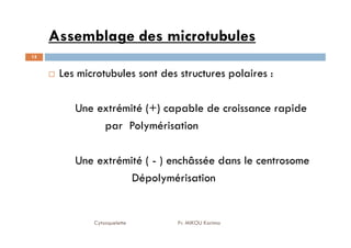 Assemblage des microtubules
Les microtubules sont des structures polaires :
Une extrémité (+) capable de croissance rapide
par Polymérisation
15
par Polymérisation
Une extrémité ( - ) enchâssée dans le centrosome
Dépolymérisation
Cytosquelette Pr. MIKOU Karima
 