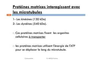 Protéines motrices interagissant avec
les microtubules
18
1- Les kinésines (130 kDa)
2- Les dynéines (540 kDa).
Ces protéines motrices fixent les organites
Cytosquelette Pr. MIKOU Karima
Ces protéines motrices fixent les organites
cellulaires à transporter
les protéines motrices utilisent l'énergie de l'ATP
pour se déplacer le long du microtubule.
 