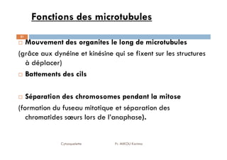 Fonctions des microtubules
21
Mouvement des organites le long de microtubules
(grâce aux dynéine et kinésine qui se fixent sur les structures
à déplacer)
Battements des cils
Cytosquelette Pr. MIKOU Karima
Séparation des chromosomes pendant la mitose
(formation du fuseau mitotique et séparation des
chromatides sœurs lors de l’anaphase).
 