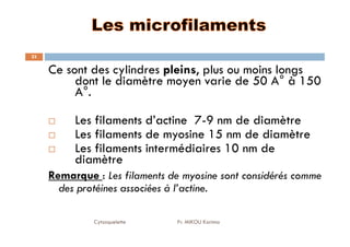 23
Ce sont des cylindres pleins, plus ou moins longs
dont le diamètre moyen varie de 50 A° à 150
A°.
Les filaments d’actine 7-9 nm de diamètre
Cytosquelette Pr. MIKOU Karima
Les filaments d’actine 7-9 nm de diamètre
Les filaments de myosine 15 nm de diamètre
Les filaments intermédiaires 10 nm de
diamètre
Remarque : Les filaments de myosine sont considérés comme
des protéines associées à l’actine.
 