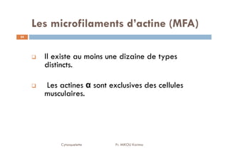 Les microfilaments d’actine (MFA)
24
Il existe au moins une dizaine de types
distincts.
Les actines α sont exclusives des cellules
Cytosquelette Pr. MIKOU Karima
Les actines α sont exclusives des cellules
musculaires.
 