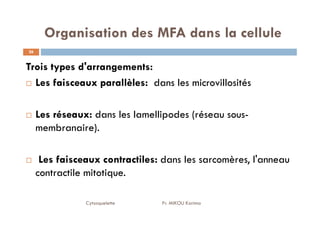 Organisation des MFA dans la cellule
26
Trois types d'arrangements:
Les faisceaux parallèles: dans les microvillosités
Les réseaux: dans les lamellipodes (réseau sous-
Cytosquelette Pr. MIKOU Karima
Les réseaux: dans les lamellipodes (réseau sous-
membranaire).
Les faisceaux contractiles: dans les sarcomères, l'anneau
contractile mitotique.
 