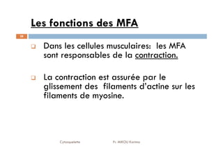 Les fonctions des MFA
28
Dans les cellules musculaires: les MFA
sont responsables de la contraction.
La contraction est assurée par le
Cytosquelette Pr. MIKOU Karima
La contraction est assurée par le
glissement des filaments d’actine sur les
filaments de myosine.
 