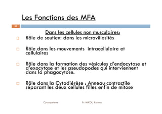 Les Fonctions des MFA
30
Dans les cellules non musculaires:
Rôle de soutien: dans les microvillosités
Rôle dans les mouvements intracellulaire et
cellulaires
Cytosquelette Pr. MIKOU Karima
Rôle dans la formation des vésicules d’endocytose et
d’exocytose et les pseudopodes qui interviennent
dans la phagocytose.
Rôle dans la Cytodiérèse : Anneau contractile
séparant les deux cellules filles enfin de mitose
 