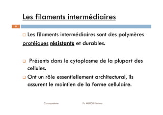Les filaments intermédiaires
31
Les filaments intermédiaires sont des polymères
protéiques résistants et durables.
Présents dans le cytoplasme de la plupart des
Cytosquelette Pr. MIKOU Karima
Présents dans le cytoplasme de la plupart des
cellules.
Ont un rôle essentiellement architectural, ils
assurent le maintien de la forme cellulaire.
 