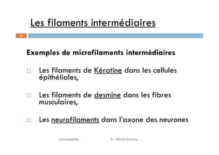 Les filaments intermédiaires
32
Exemples de microfilaments intermédiaires
Les filaments de Kératine dans les cellules
épithéliales,
Cytosquelette Pr. MIKOU Karima
épithéliales,
Les filaments de desmine dans les fibres
musculaires,
Les neurofilaments dans l’axone des neurones
 
