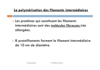 La polymérisation des filaments intermédiaires
33
Les protéines qui constituent les filaments
intermédiaires sont des molécules fibreuses très
allongées.
Cytosquelette Pr. MIKOU Karima
8 protofilaments forment le filament intermédiaire
de 10 nm de diamètre.
 