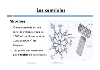 Les centrioles
Structure
Chaque centriole est une
sorte de cylindre creux de
1500 A° de diamètre et de
39
1500 A° de diamètre et de
3000 à 5000 A° de
longueur.
Les parois sont constituées
par 9 triplets de microtubules
Cytosquelette Pr. MIKOU Karima
 