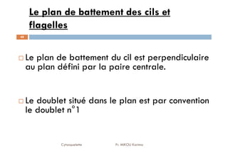 Le plan de battement des cils et
flagelles
48
Le plan de battement du cil est perpendiculaire
au plan défini par la paire centrale.
Cytosquelette Pr. MIKOU Karima
Le doublet situé dans le plan est par convention
le doublet n°1
 
