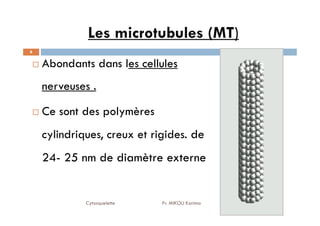 Les microtubules (MT)
Abondants dans les cellules
nerveuses .
Ce sont des polymères
6
Ce sont des polymères
cylindriques, creux et rigides. de
24- 25 nm de diamètre externe
Cytosquelette Pr. MIKOU Karima
 