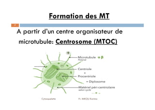 Formation des MT
7
A partir d’un centre organisateur de
microtubule: Centrosome (MTOC)
Cytosquelette Pr. MIKOU Karima
 