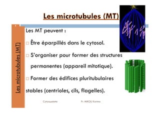 8
Les
microtubules
(MT)
Les MT peuvent :
Être éparpillés dans le cytosol.
S’organiser pour former des structures
Cytosquelette Pr. MIKOU Karima
Les
microtubules
(MT)
S’organiser pour former des structures
permanentes (appareil mitotique).
Former des édifices pluritubulaires
stables (centrioles, cils, flagelles).
 