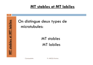 MT stables et MT labiles
9
MT
stables
et
MT
labiles
On distingue deux types de
microtubules:
Cytosquelette Pr. MIKOU Karima
MT
stables
et
MT
labiles
MT stables
MT labiles
 