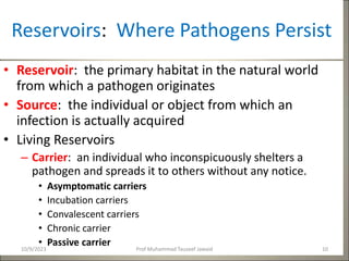 Reservoirs: Where Pathogens Persist
• Reservoir: the primary habitat in the natural world
from which a pathogen originates
• Source: the individual or object from which an
infection is actually acquired
• Living Reservoirs
– Carrier: an individual who inconspicuously shelters a
pathogen and spreads it to others without any notice.
• Asymptomatic carriers
• Incubation carriers
• Convalescent carriers
• Chronic carrier
• Passive carrier
10/9/2023 10
Prof Muhammad Tauseef Jawaid
 