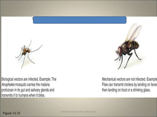 Figure 13.10
10/9/2023 12
Prof Muhammad Tauseef Jawaid
 