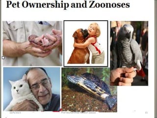 10/9/2023 15
Prof Muhammad Tauseef Jawaid
 