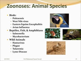  Birds:
 Psittacosis
 West Nile virus
 Eastern Equine Encephalitis
 Avian Influenza
 Reptiles, Fish, & Amphibians
 Salmonella
 Mycobacterium
 Wild Animals
 Hantavirus
 Plague
 Tularemia
 Lyme Disease
Zoonoses: Animal Species
10/9/2023 23
Prof Muhammad Tauseef Jawaid
 