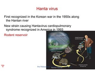 Slide
55
Hanta virus
First recognized in the Korean war in the 1950s along
the Hantan river
New strain causing Hantavirus cardiopulmonary
syndrome recognized in America in 1993
Rodent reservoir
www.kuleuven.be/ rega/mvr/research.html
10/9/2023
Prof Muhammad Tauseef Jawaid
 