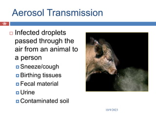 Prof
Muhammad
Tauseef
Jawaid
Aerosol Transmission
 Infected droplets
passed through the
air from an animal to
a person
 Sneeze/cough
 Birthing tissues
 Fecal material
 Urine
 Contaminated soil
10/9/2023
30
 