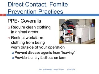 Direct Contact, Fomite
Prevention Practices
PPE- Coveralls
 Require clean clothing
in animal areas
 Restrict work/farm
clothing from being
worn outside of your operation
 Prevent disease agents from “leaving”
 Provide laundry facilities on farm
10/9/2023
41
Prof Muhammad Tauseef Jawaid
 