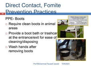 Direct Contact, Fomite
Prevention Practices
PPE- Boots
 Require clean boots in animal
areas
 Provide a boot bath or trashcan
at the entrance/exit for ease of
cleaning/disposing
 Wash hands after
removing boots
10/9/2023
42
Prof Muhammad Tauseef Jawaid
 