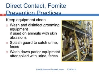 Direct Contact, Fomite
Prevention Practices
Keep equipment clean
 Wash and disinfect grooming
equipment
if used on animals with skin
abrasions
 Splash guard to catch urine,
feces
 Wash down parlor equipment
after soiled with urine, feces
10/9/2023
43
Prof Muhammad Tauseef Jawaid
 