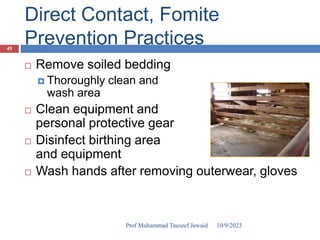 Direct Contact, Fomite
Prevention Practices
 Remove soiled bedding
 Thoroughly clean and
wash area
 Clean equipment and
personal protective gear
 Disinfect birthing area
and equipment
 Wash hands after removing outerwear, gloves
10/9/2023
45
Prof Muhammad Tauseef Jawaid
 
