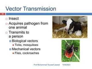 Vector Transmission
 Insect
 Acquires pathogen from
one animal
 Transmits to
a person
 Biological vectors
 Ticks, mosquitoes
 Mechanical vectors
 Flies, cockroaches
10/9/2023
54
Prof Muhammad Tauseef Jawaid
 
