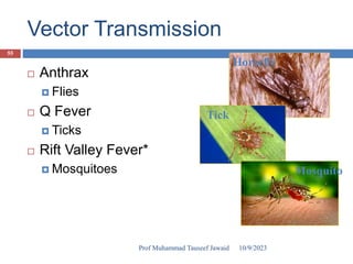 Vector Transmission
 Anthrax
 Flies
 Q Fever
 Ticks
 Rift Valley Fever*
 Mosquitoes
Horsefly
Tick
Mosquito
* Denotes Foreign Animal Disease
10/9/2023
55
Prof Muhammad Tauseef Jawaid
 