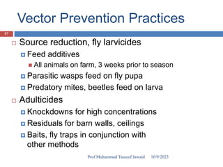 Vector Prevention Practices
 Source reduction, fly larvicides
 Feed additives
 All animals on farm, 3 weeks prior to season
 Parasitic wasps feed on fly pupa
 Predatory mites, beetles feed on larva
 Adulticides
 Knockdowns for high concentrations
 Residuals for barn walls, ceilings
 Baits, fly traps in conjunction with
other methods
10/9/2023
57
Prof Muhammad Tauseef Jawaid
 