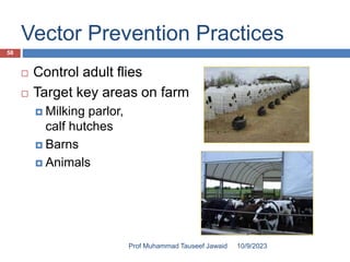 Vector Prevention Practices
 Control adult flies
 Target key areas on farm
 Milking parlor,
calf hutches
 Barns
 Animals
10/9/2023
58
Prof Muhammad Tauseef Jawaid
 