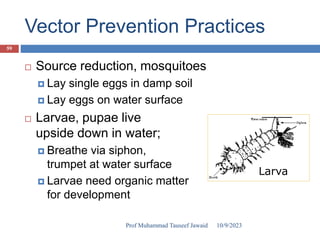  Source reduction, mosquitoes
 Lay single eggs in damp soil
 Lay eggs on water surface
 Larvae, pupae live
upside down in water;
 Breathe via siphon,
trumpet at water surface
 Larvae need organic matter
for development
Vector Prevention Practices
Larva
10/9/2023
59
Prof Muhammad Tauseef Jawaid
 