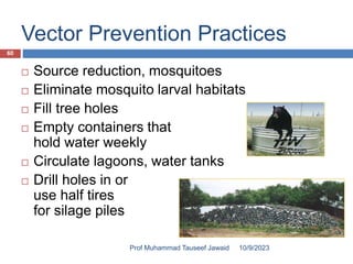 Vector Prevention Practices
 Source reduction, mosquitoes
 Eliminate mosquito larval habitats
 Fill tree holes
 Empty containers that
hold water weekly
 Circulate lagoons, water tanks
 Drill holes in or
use half tires
for silage piles
10/9/2023
60
Prof Muhammad Tauseef Jawaid
 