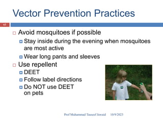 Vector Prevention Practices
 Avoid mosquitoes if possible
 Stay inside during the evening when mosquitoes
are most active
 Wear long pants and sleeves
 Use repellent
 DEET
 Follow label directions
 Do NOT use DEET
on pets
10/9/2023
63
Prof Muhammad Tauseef Jawaid
 