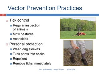 Vector Prevention Practices
 Tick control
 Regular inspection
of animals
 Mow pastures
 Acaricides
 Personal protection
 Wear long sleeves
 Tuck pants into socks
 Repellent
 Remove ticks immediately
10/9/2023
64
Prof Muhammad Tauseef Jawaid
 