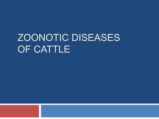 ZOONOTIC DISEASES
OF CATTLE
 