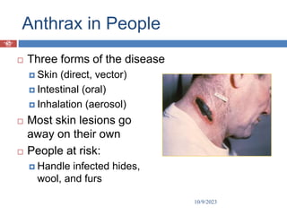 Prof
Muhammad
Tauseef
Jawaid
Anthrax in People
 Three forms of the disease
 Skin (direct, vector)
 Intestinal (oral)
 Inhalation (aerosol)
 Most skin lesions go
away on their own
 People at risk:
 Handle infected hides,
wool, and furs
10/9/2023
67
 