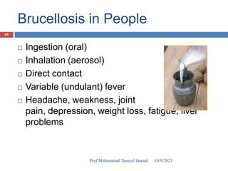 Brucellosis in People
 Ingestion (oral)
 Inhalation (aerosol)
 Direct contact
 Variable (undulant) fever
 Headache, weakness, joint
pain, depression, weight loss, fatigue, liver
problems
10/9/2023
69
Prof Muhammad Tauseef Jawaid
 