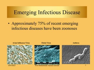 Emerging Infectious Disease
• Approximately 75% of recent emerging
infectious diseases have been zoonoses
Ebola Virus Anthrax
Avian Influenza Virus
10/9/2023 7
Prof Muhammad Tauseef Jawaid
 