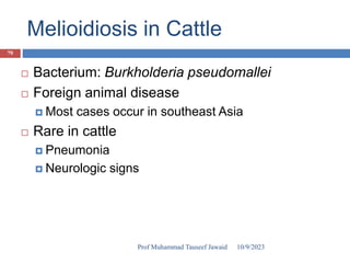 Melioidiosis in Cattle
 Bacterium: Burkholderia pseudomallei
 Foreign animal disease
 Most cases occur in southeast Asia
 Rare in cattle
 Pneumonia
 Neurologic signs
10/9/2023
79
Prof Muhammad Tauseef Jawaid
 