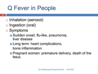 Q Fever in People
 Inhalation (aerosol)
 Ingestion (oral)
 Symptoms
 Sudden onset: flu-like, pneumonia,
liver disease
 Long term: heart complications,
bone inflammation
 Pregnant women: premature delivery, death of the
fetus
• Direct contact
• Ticks (vector)
10/9/2023
84
Prof Muhammad Tauseef Jawaid
 