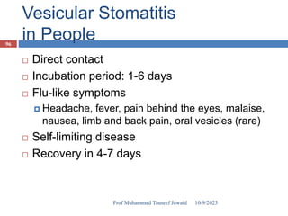 Vesicular Stomatitis
in People
 Direct contact
 Incubation period: 1-6 days
 Flu-like symptoms
 Headache, fever, pain behind the eyes, malaise,
nausea, limb and back pain, oral vesicles (rare)
 Self-limiting disease
 Recovery in 4-7 days
10/9/2023
96
Prof Muhammad Tauseef Jawaid
 