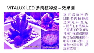 VITALUX LED 多肉植物燈 – 效果圖
真 正 高 效 率 的
LED 多 肉 植 物 燈
是 紫 光 (= 紅 光
+ 藍光 ), 有些個人
拍賣或工作室 (FB
社團 ) 推銷或團購
的仿品使用來路不
明的 LED 元件 , 也
無公司資料查 , 請
玩家慎用 !!
 
